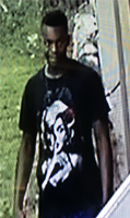 Bike Theft Suspect