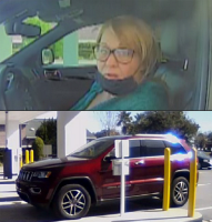 Suspect and vehicle