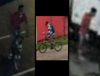 Theft suspect